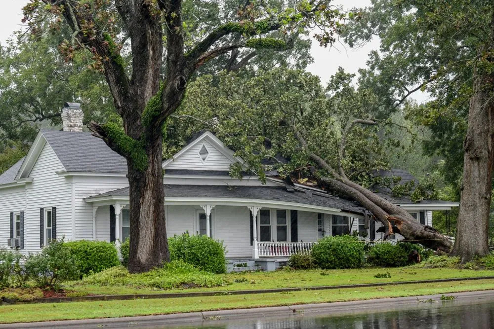 Storm Damage Restoration