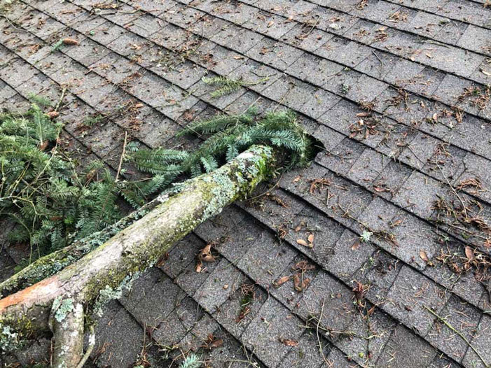 Storm Damage Restoration