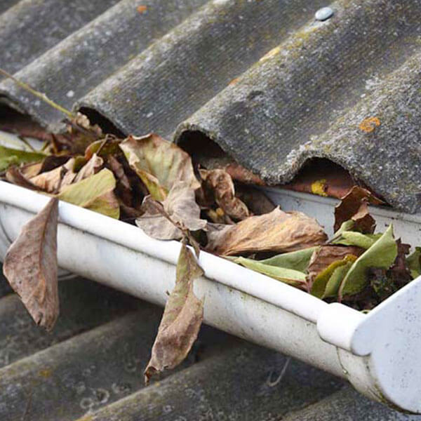 Gutter Cleaning Service